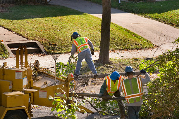 Lawn Watering Services in Ponca City, OK